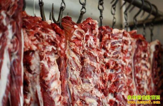 ţ����۸�������� ��ֳ�����������