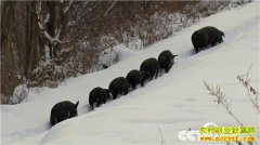 [�¸���]������ֳ׬Ǯ�и��� �����¸�����