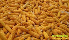 ���׳��ֹ���������� ���׼۸�����ƫ��