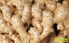 �ں������۸������� ���ڴ��������ƫ��