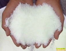 ���𻯷����������ס�⼸��