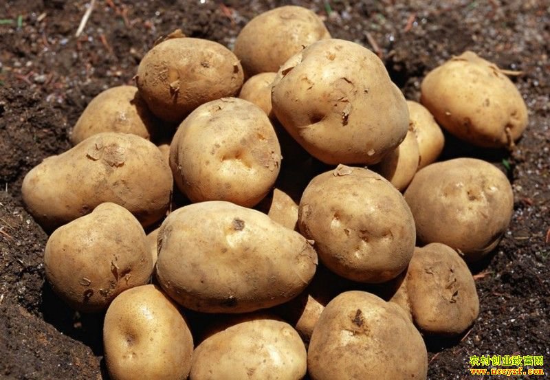 ������Դ�����������۸�������