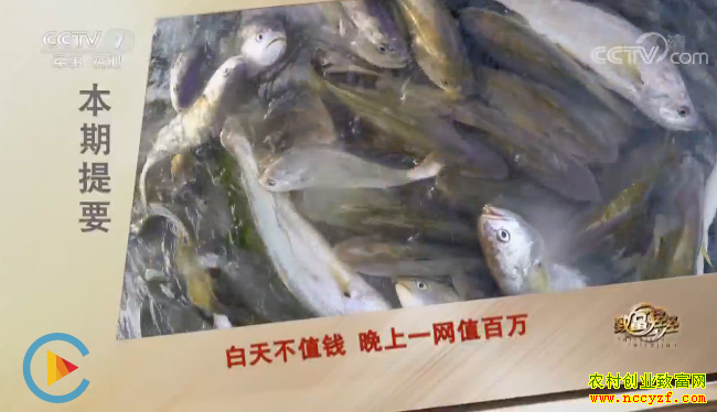 �¸������㣺�㽭̨���ᴾ��ֳ��������һ��ֵ���� 