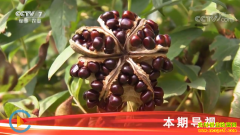 [�Ƽ�Է]�ÿ���ĵ�����ܳ� ����ĵ����ֲ������Ƶ