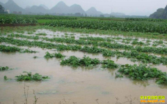 ����Ӱ����ҩ������ 2019����ҩ������������Σ�