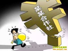 国家出手整顿“空壳”合作社 现有合作社该如何规范运行?