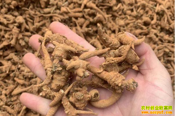 2019��3��4��������ɽ���߼۸�����