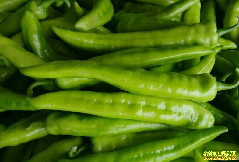 2019�������������۸�����