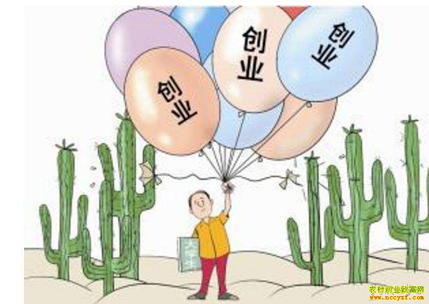 ũ�崴ҵ��ʲôС������׬Ǯ��12����ҵ��Ŀ���Գ���