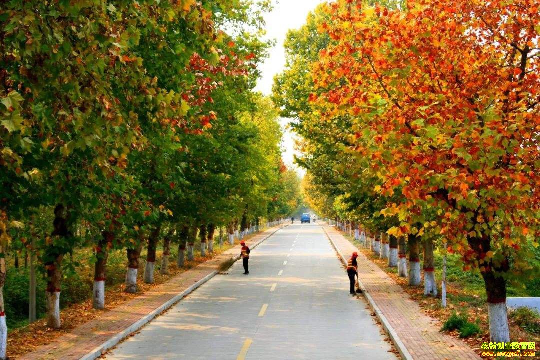 ũ���¸�·ǧ���� ��ѡ���־�Ӫ��ʽ��