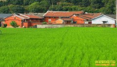 ũ�崴ҵ��ʲôС������׬Ǯ���Ƽ�6��ũ�崴ҵ��Ŀ