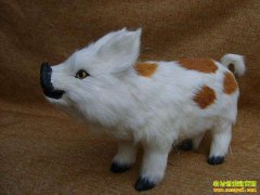 �����׬Ǯ��ɽ������˾���������ӹ�Ƥë��ߡ��������ԣ