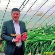 �����������Ĳ��ö���Ƶ�����������ۻ�������