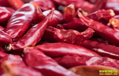 �������۸������ƻ���������ã�2019�������۸�Ԥ��