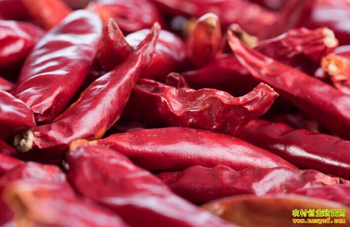 �������۸������ƻ���������ã�2019�������۸�Ԥ��