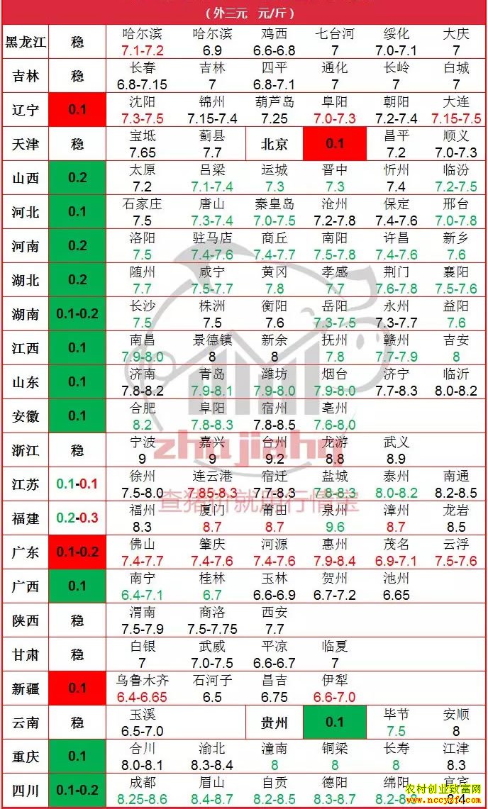 2019�������ǵ��۸��