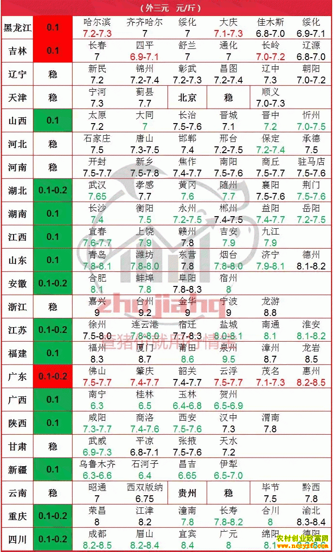 2019�������ǵ��۸��