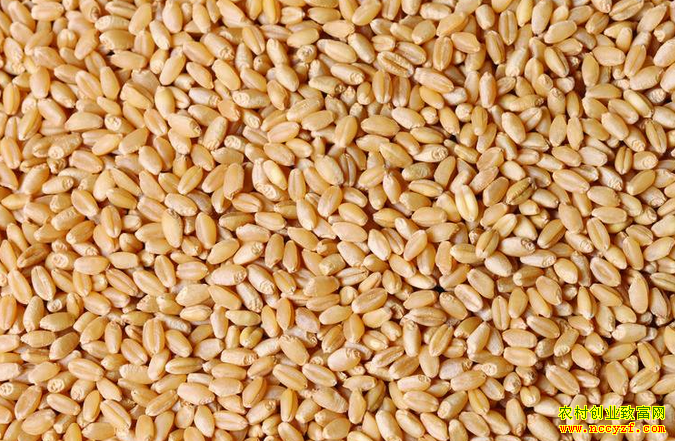 С���⼸��������� �˴�С��۸��µ���ʲôԭ��