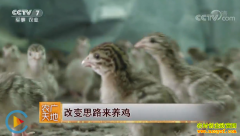 [ũ�����]�㶫���������ı�˼·������