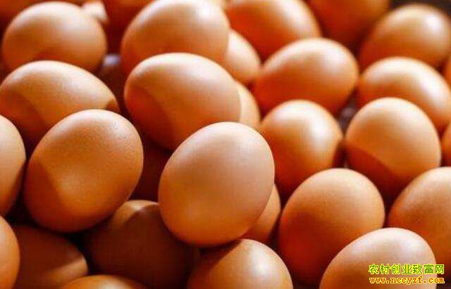 2019�꼦������Ԥ�⣺�����������۸������� 6�µ׵������µ�����