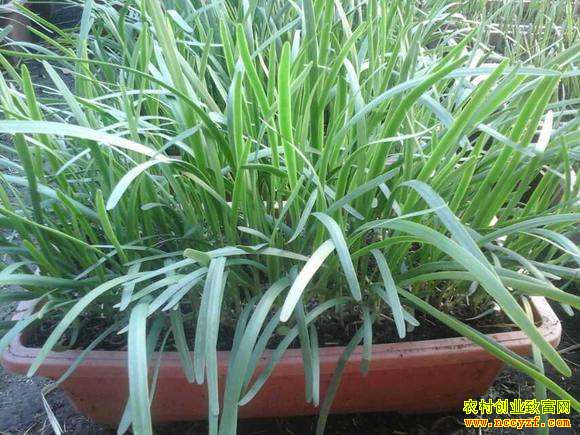 ɽ��ݷ�ؿ��������Ծ²�ÿ���ۼ۰�Ԫ