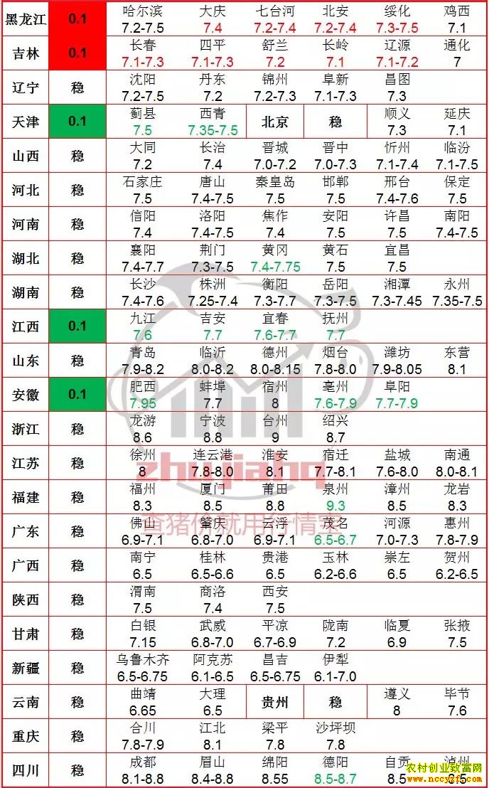 2019�������ǵ��۸��