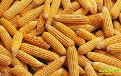 ���׼۸���������� �����µ��ռ䲻��