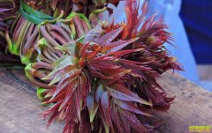 �㴻���������� �۸��ߵ�