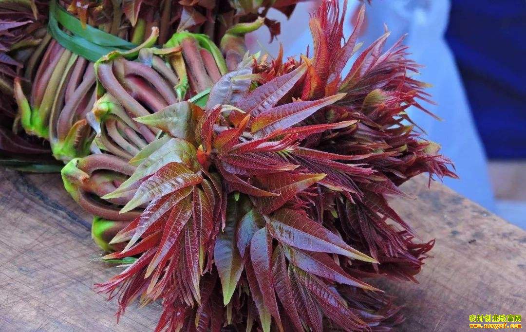 �㴻���������� �۸��ߵ�