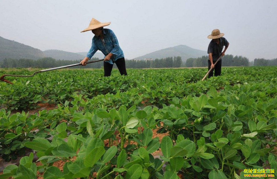 ��������������� �۸����Ǵ�����ֲ������