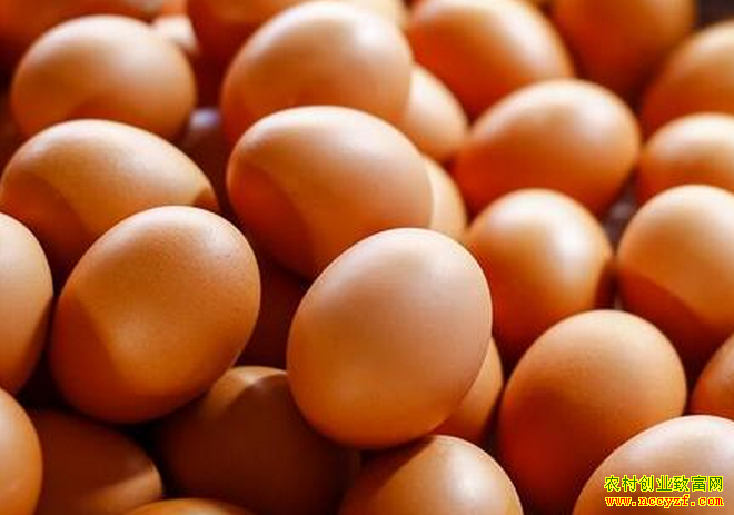 鸡蛋价格连涨五周 “火箭蛋”卷土重来了?