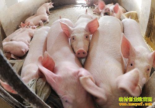 ũҵũ�岿Ԥ���ļ��Ȼ����۸�ͻ��2016����ʷ�ߵ�