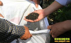 �¼����ѽ��������� �����ͼ۸�����Ǻ��