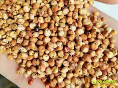 �������� ����ϧ�� �����۸�С������ ��θ����Ǽ��ܳ�����ã�