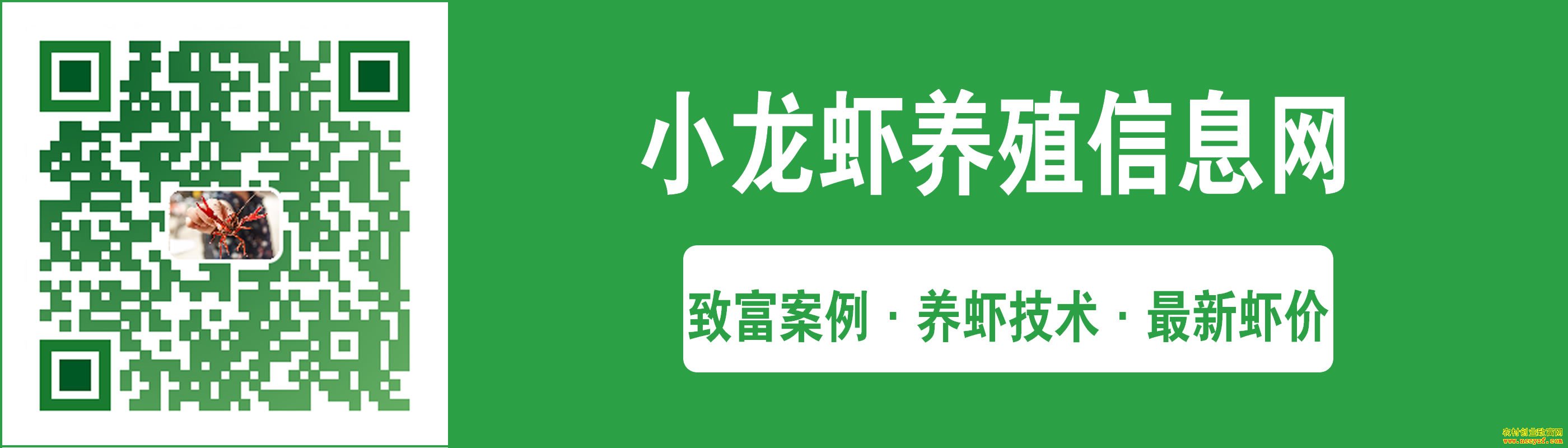 С��Ϻ��ֳ��