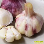 ����������� ���������۲��ֹ� �������۸�Ԥ��