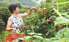 ����ۡ����������¡���̳������ֲ���������¸����廹���¸��ݾ�