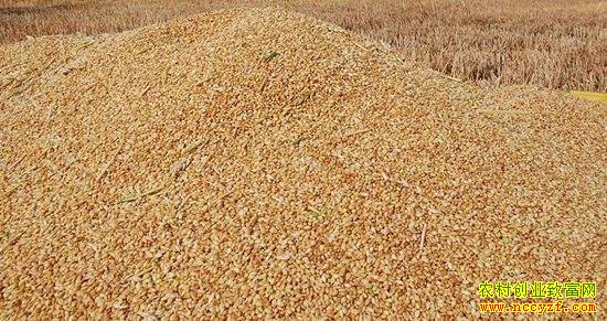 ������С��½������ ���������۸�Ҫ����������