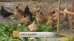 [ũ�����]�㽭�ٰ������и�ҵȥ��������ǧ��