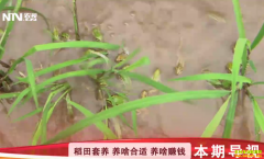 [�Ƽ�Է]��̬���� �����е� ��ΰ�ᵾ����ֳ�������