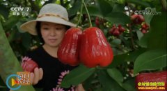 [ÿ��ũ��]����������ÿ���¶������������ֲЧ���