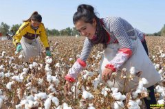 ����޻��г�����ǰ �޻��۸���������