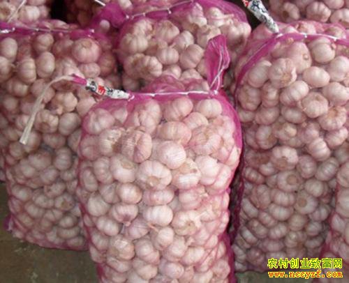 2019年6月7日产区大蒜价格行情综述