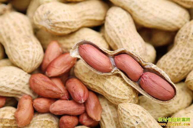 2019��6��7�������������۸���������