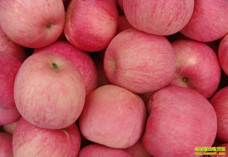 2019��6��7��������ƻ���۸���������