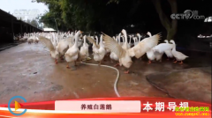 [�Ƽ�Է]���ϳ�������Ƣ�������� ����ʱ����