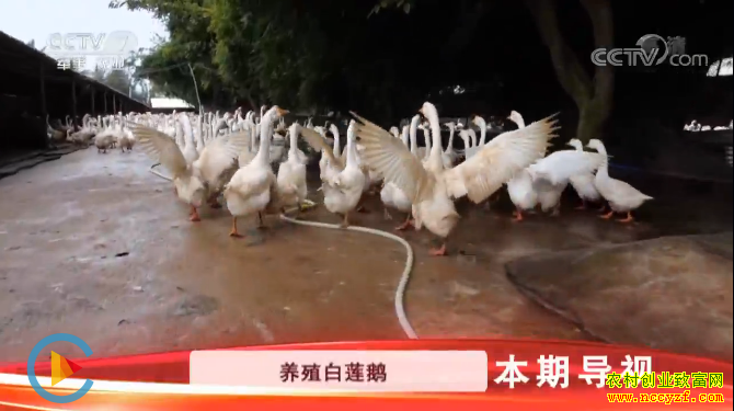 [�Ƽ�Է]��Ƣ���׶� ����ʱ���� 20190527