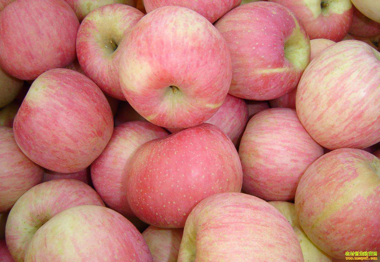 ƻ���۸�����һ�� �ֻ����ڻ������Ƹ�����