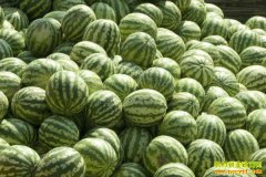 ���ϼ۸������»� ����������ũ��·����