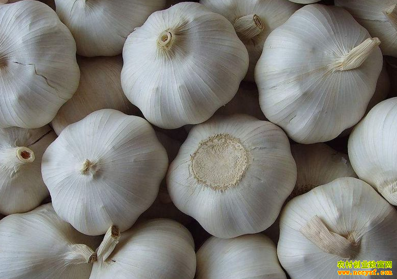 2022�����۸�